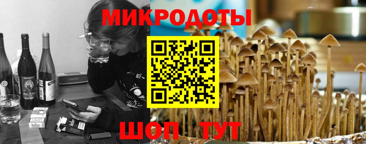 Псилоцибиновые грибы мухоморы Солнечногорск