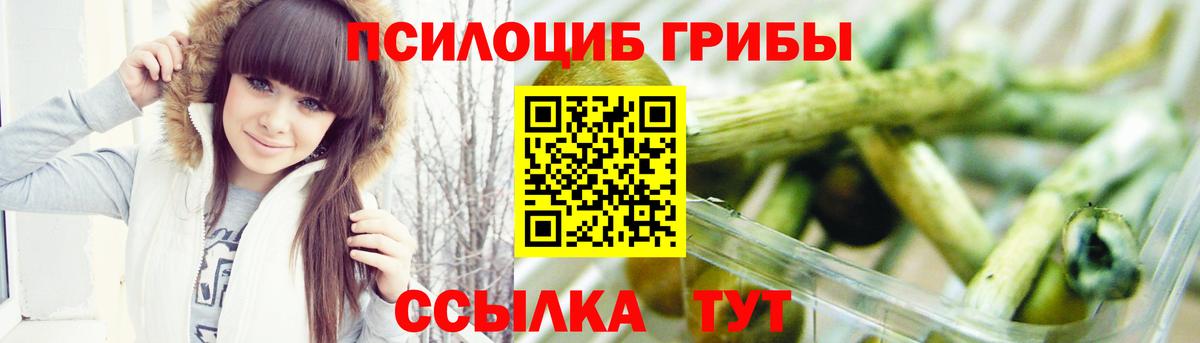 Псилоцибиновые грибы прущие грибы  Вход с VPN  Солнечногорск  Псилоцибиновые грибы GOLDEN TEACHER 